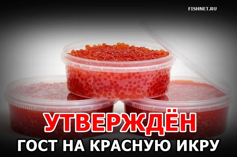 🐟 В ГОСТе закрепили требования к красной икре (требования вступают в силу с 1 июня 2027)