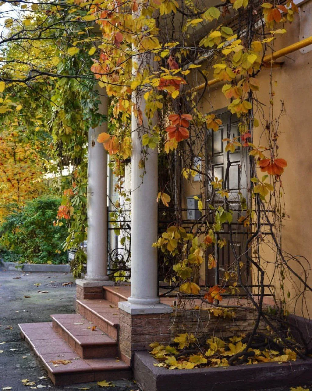 🏡 Уютный дворик в Воротниковском переулке