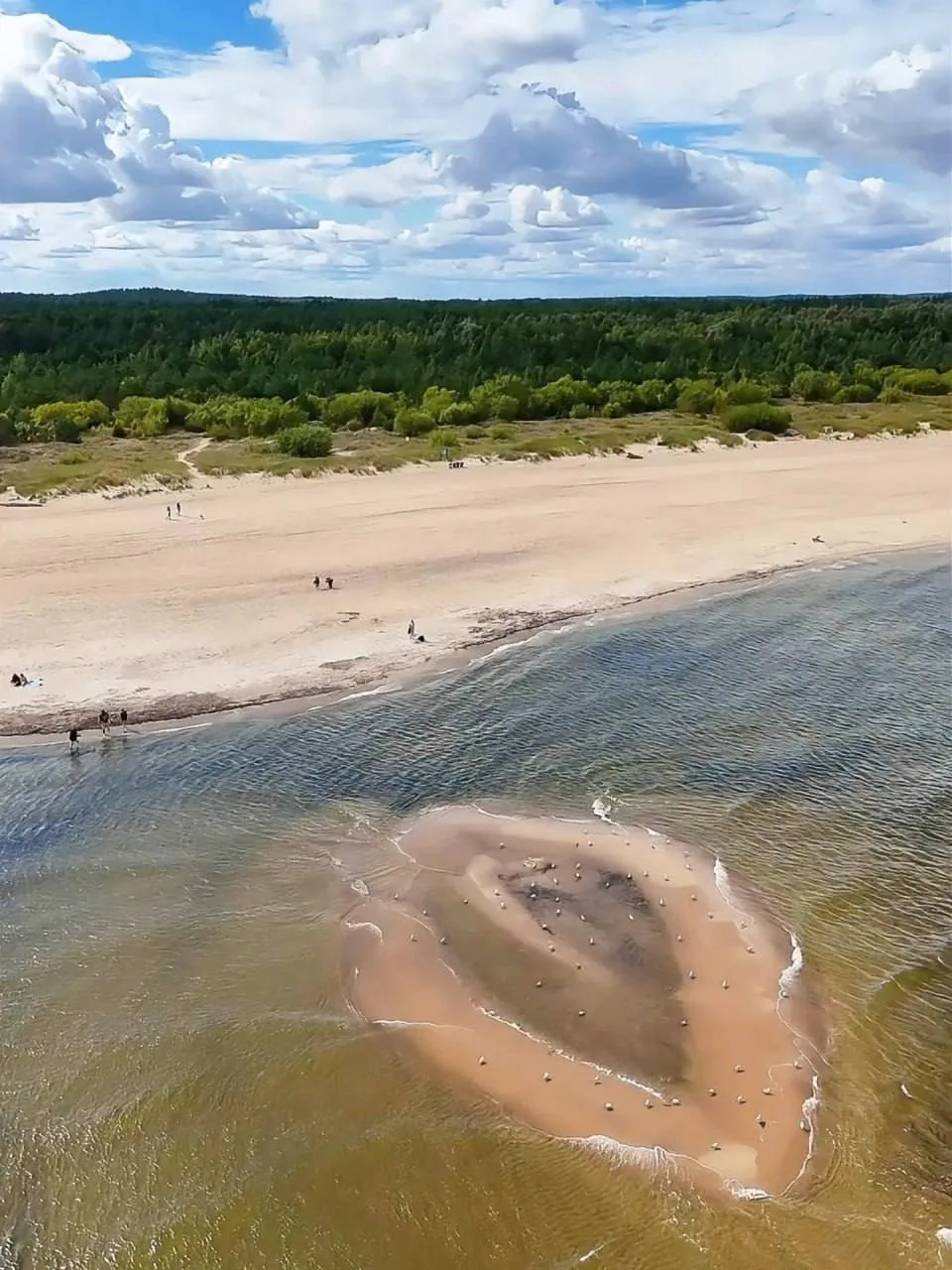 🏝 В Польше у пляжа образовался новый остров с весьма узнаваемым узором..