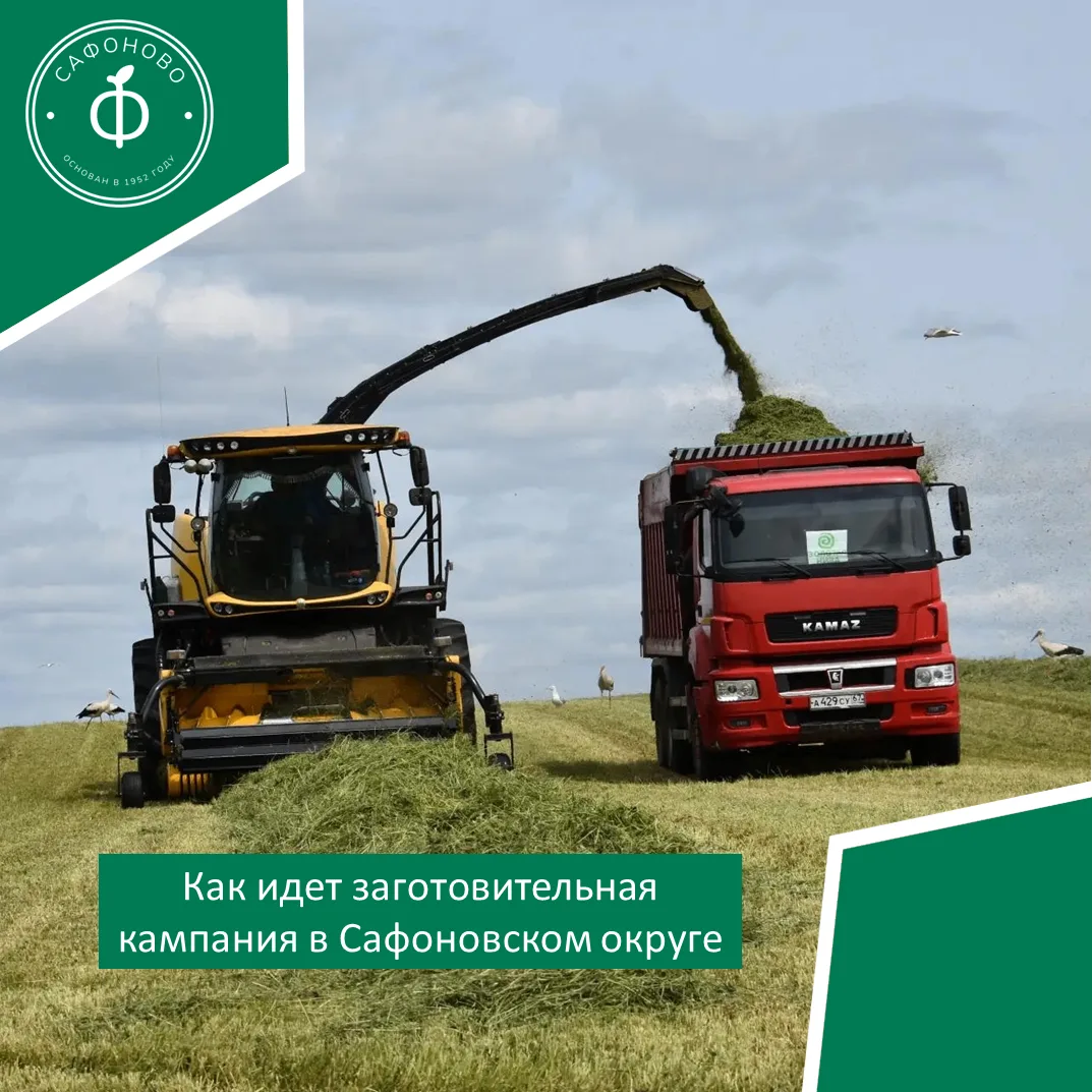 Как идет заготовительная кампания в Сафоновском округе