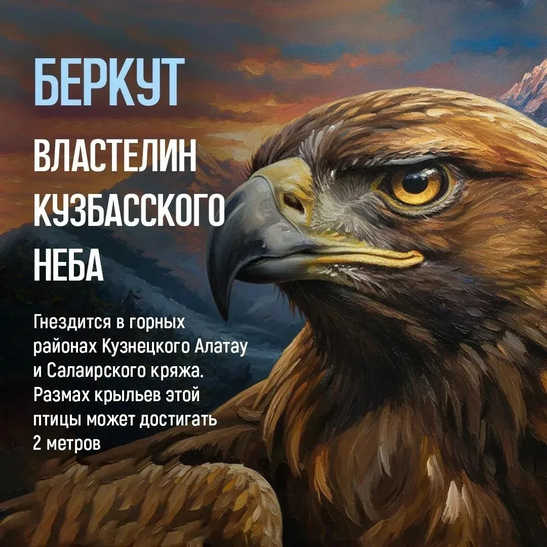 🌲 Кузбасская тайга хранит немало секретов

Здесь, среди гор, рек и бескрайних лесов, обитают бурые 