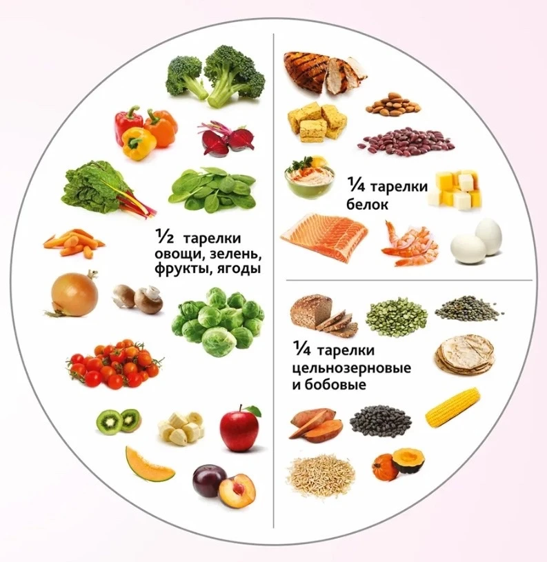 🍲Гарвардская тарелка: как есть и не голодать, получая всё нужное? 

Сбалансированная тарелка - это 