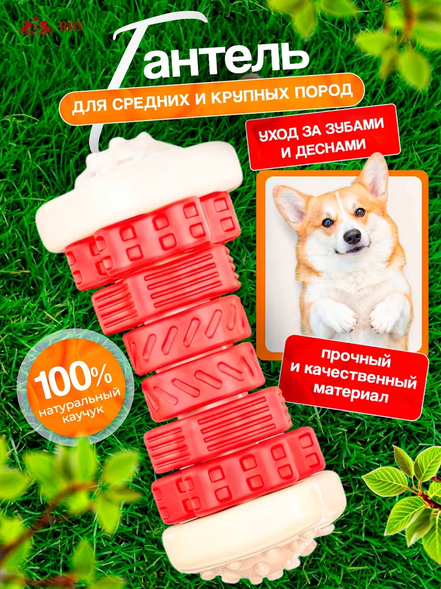 ⚡️ Игрушка для собак интерактивная гантель, RBY