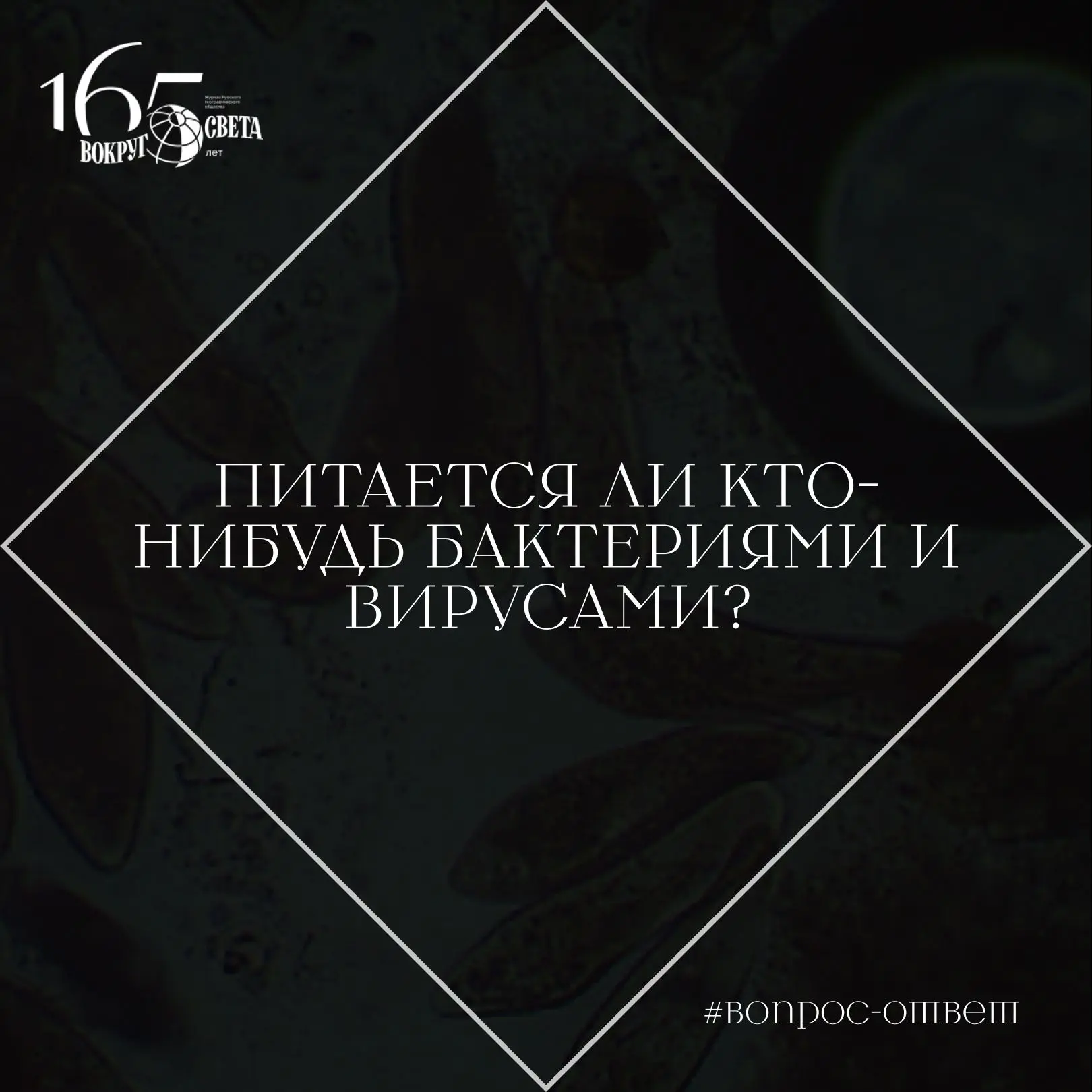❓ Питается ли кто-нибудь бактериями и вирусами?

Бактериями питаются многие организмы, а вот питание