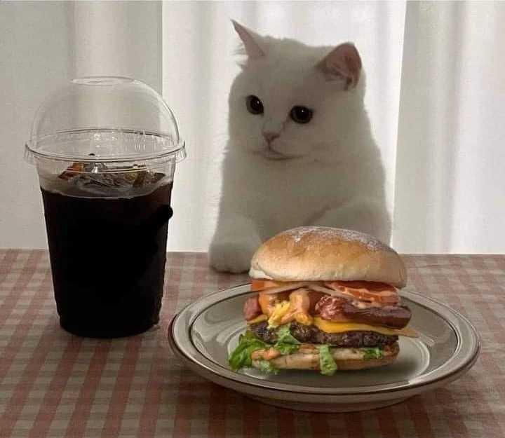 🍔 Чтобы избавиться от депрессии, нужно отказаться от бургеров и чипсов, — исследование