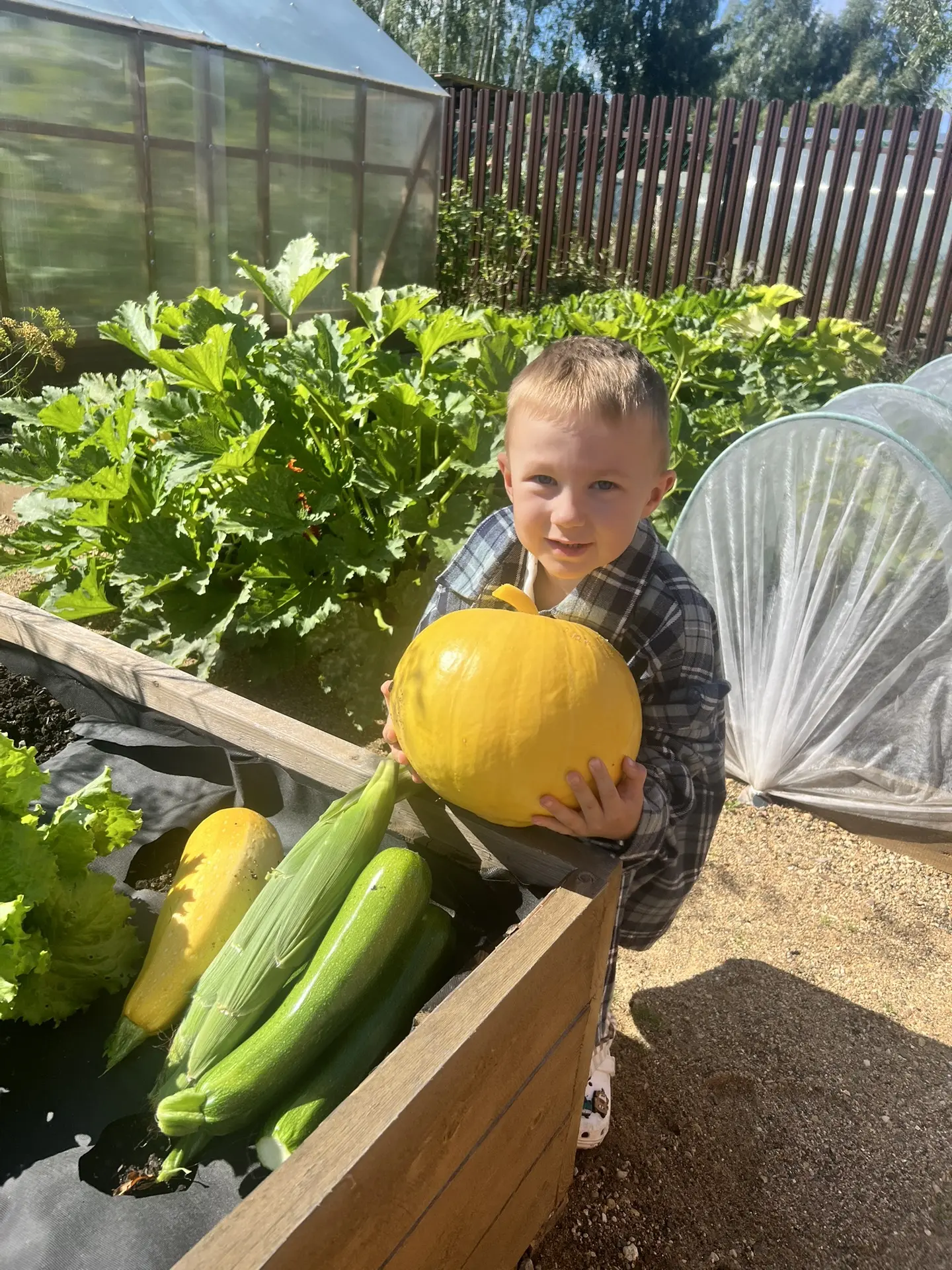 Time to harvest