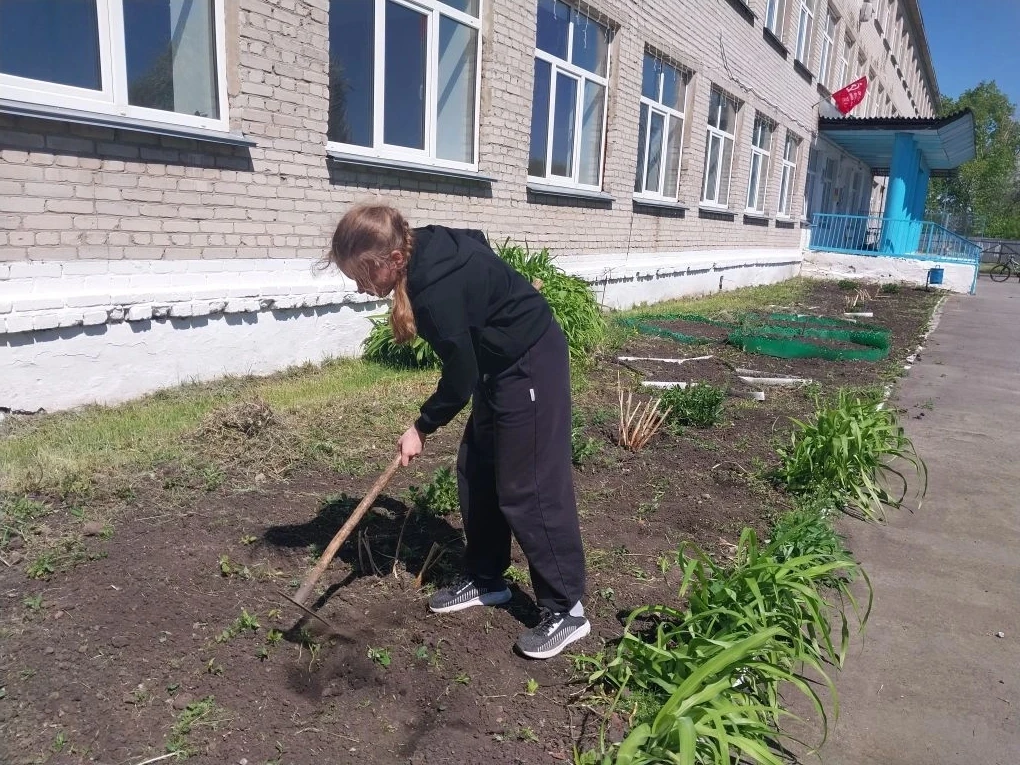 На уроках технологии учащиеся занимаются озеленением территории школы.