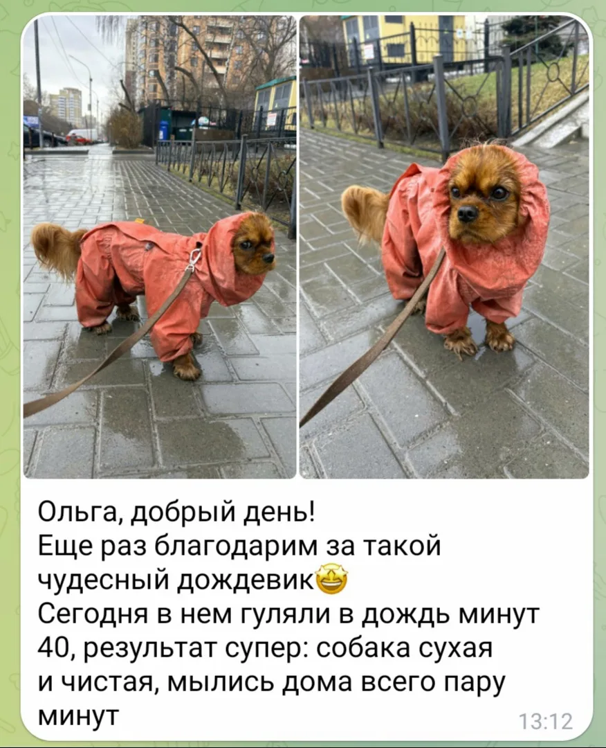 Вот такая обратная связь пришла от мамы Кэрри 🤗 и меня это не может не радовать.