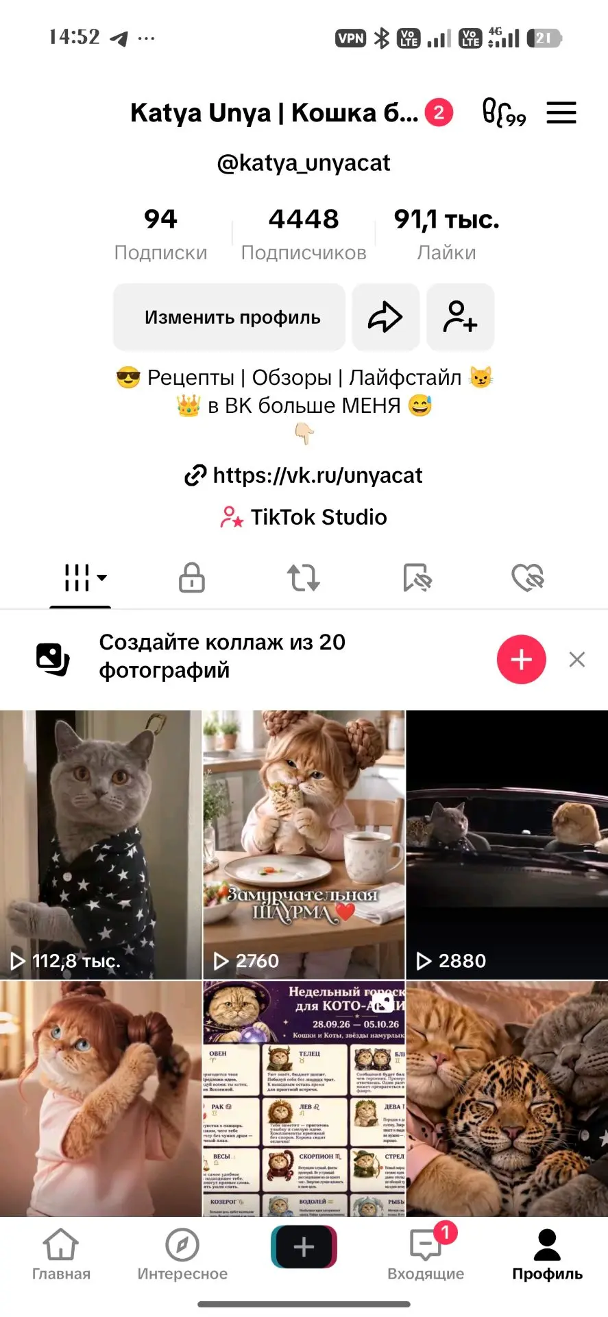 Ай мой лев, мой тигр 🤣