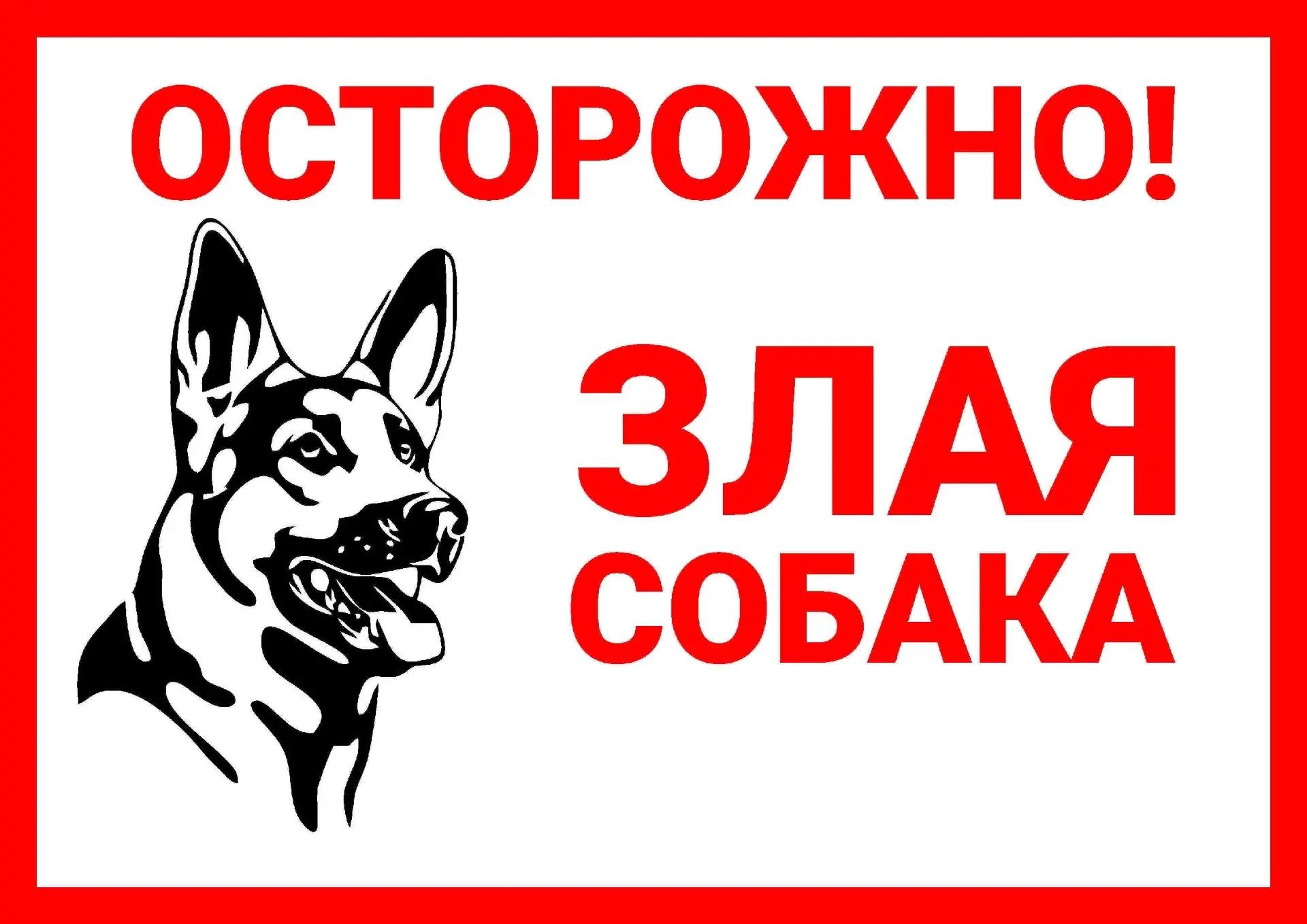 С воспитанниками провели профилактический видеоурок о безопасном поведении при встрече ...