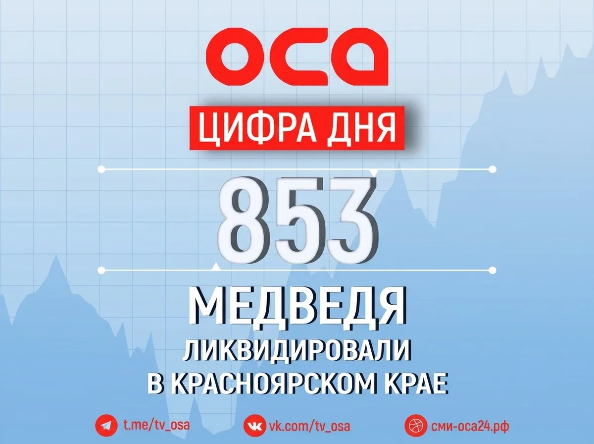 853 медведя ликвидировали в Красноярском крае