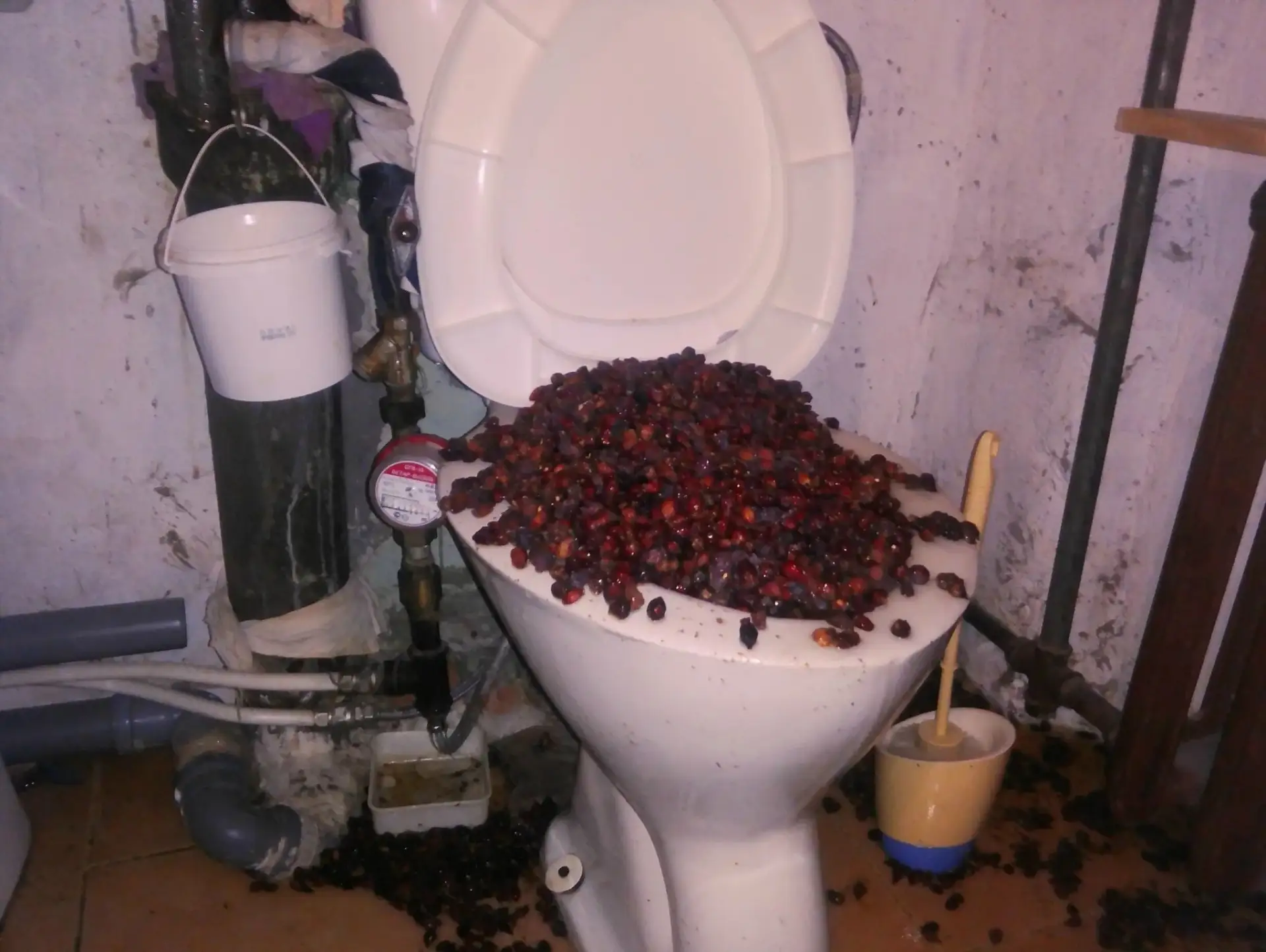 🚽Россиян заставят ходить в туалет по новым правилам    Росстандарт утвердил межгосударственный станд
