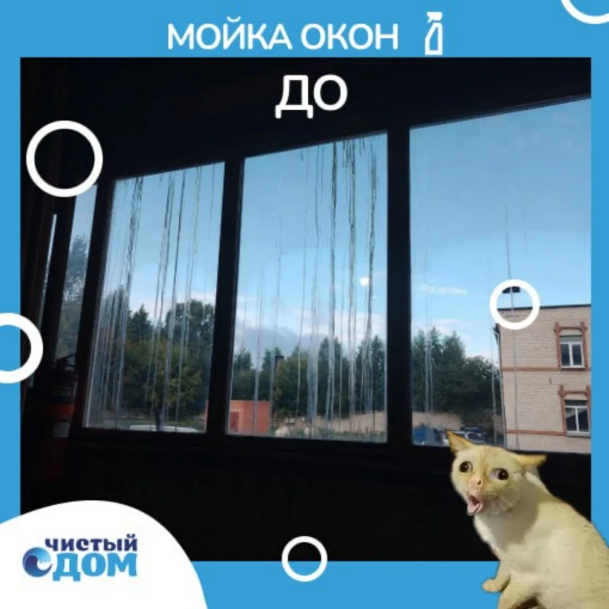 💧Чистые окна одинаково важны и в квартире, и на коммерческих объектах.
