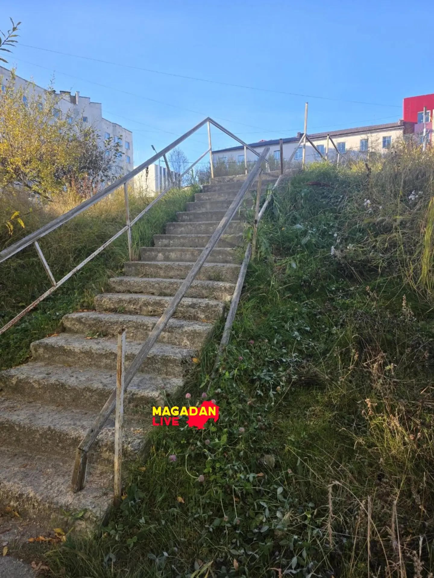 Возле дома по адресу ул. Горького, 17 вот такая красота. Чуть ниже площадки для автомаш...