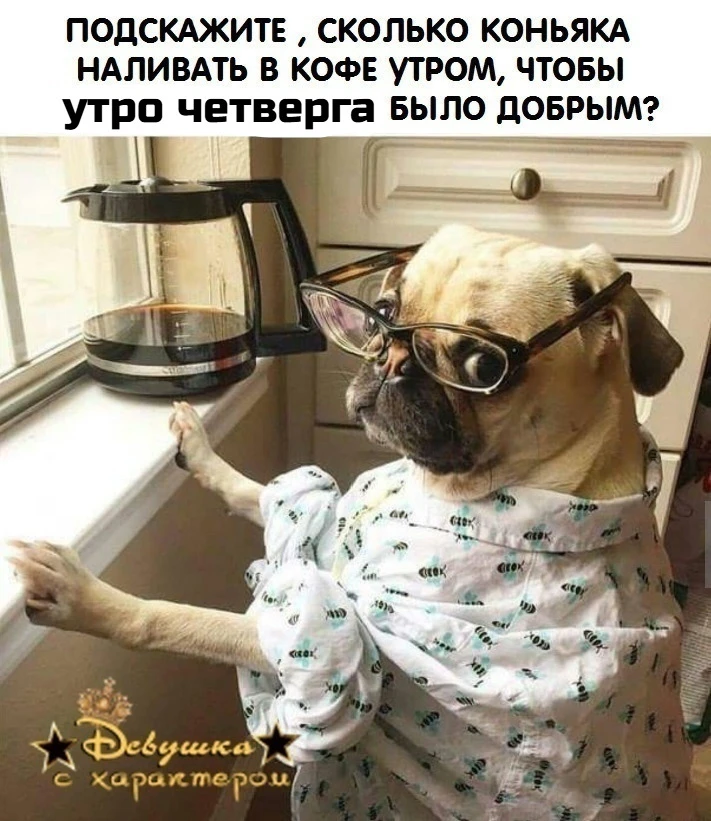 👑 Мадам с характером|