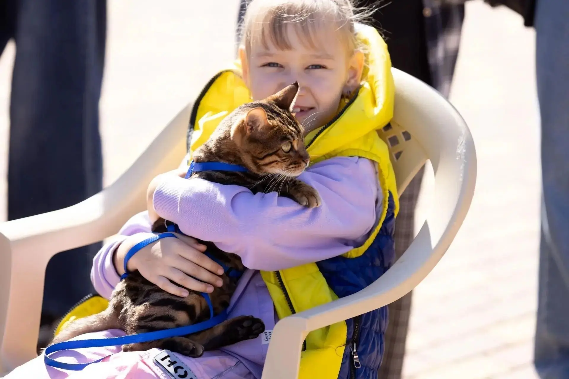 🐶🐱 В станице Новотитаровской прошла выставка домашних животных