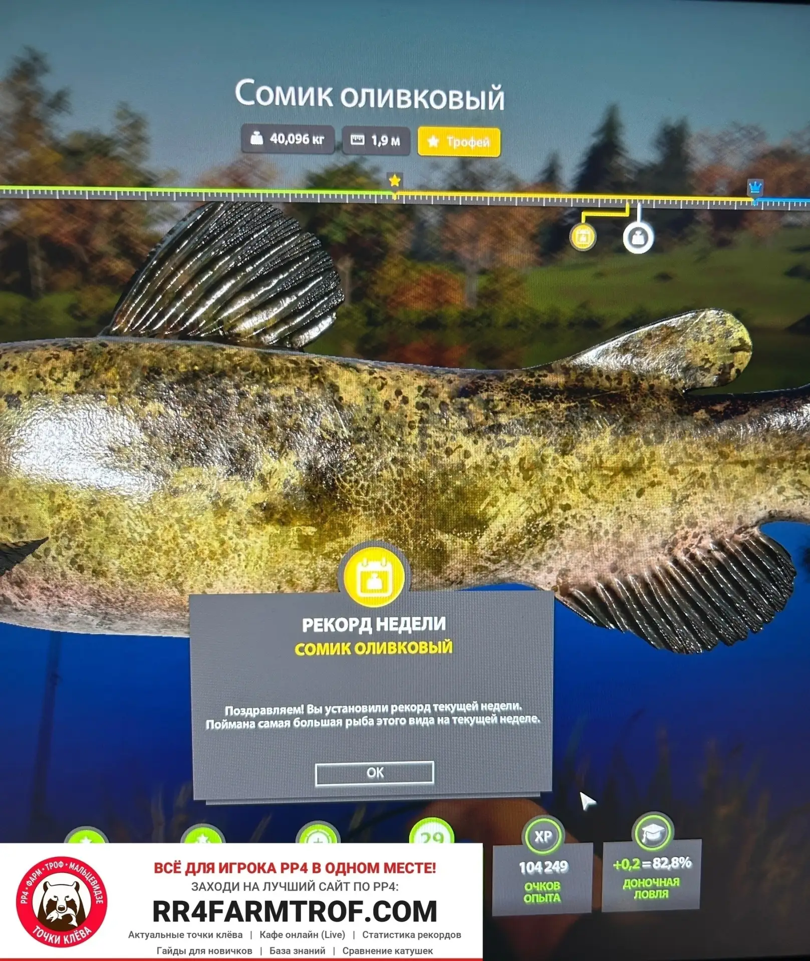 #лосиное@pp4farmtrof