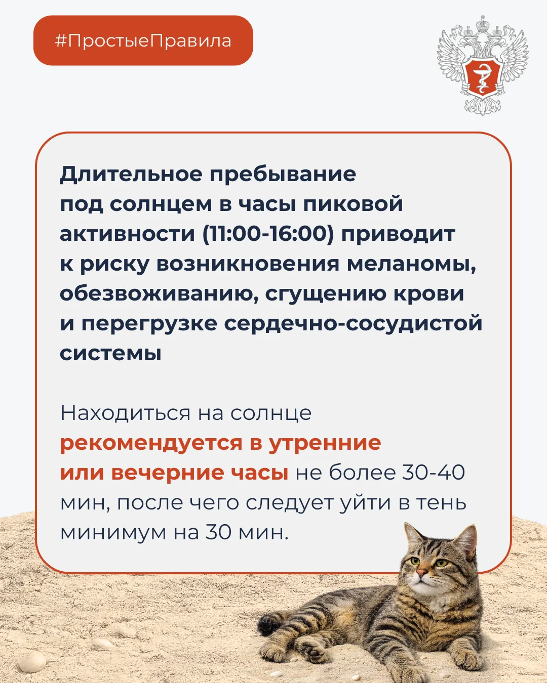 Изображение 3 к публикации «ЗдравКонтроль»