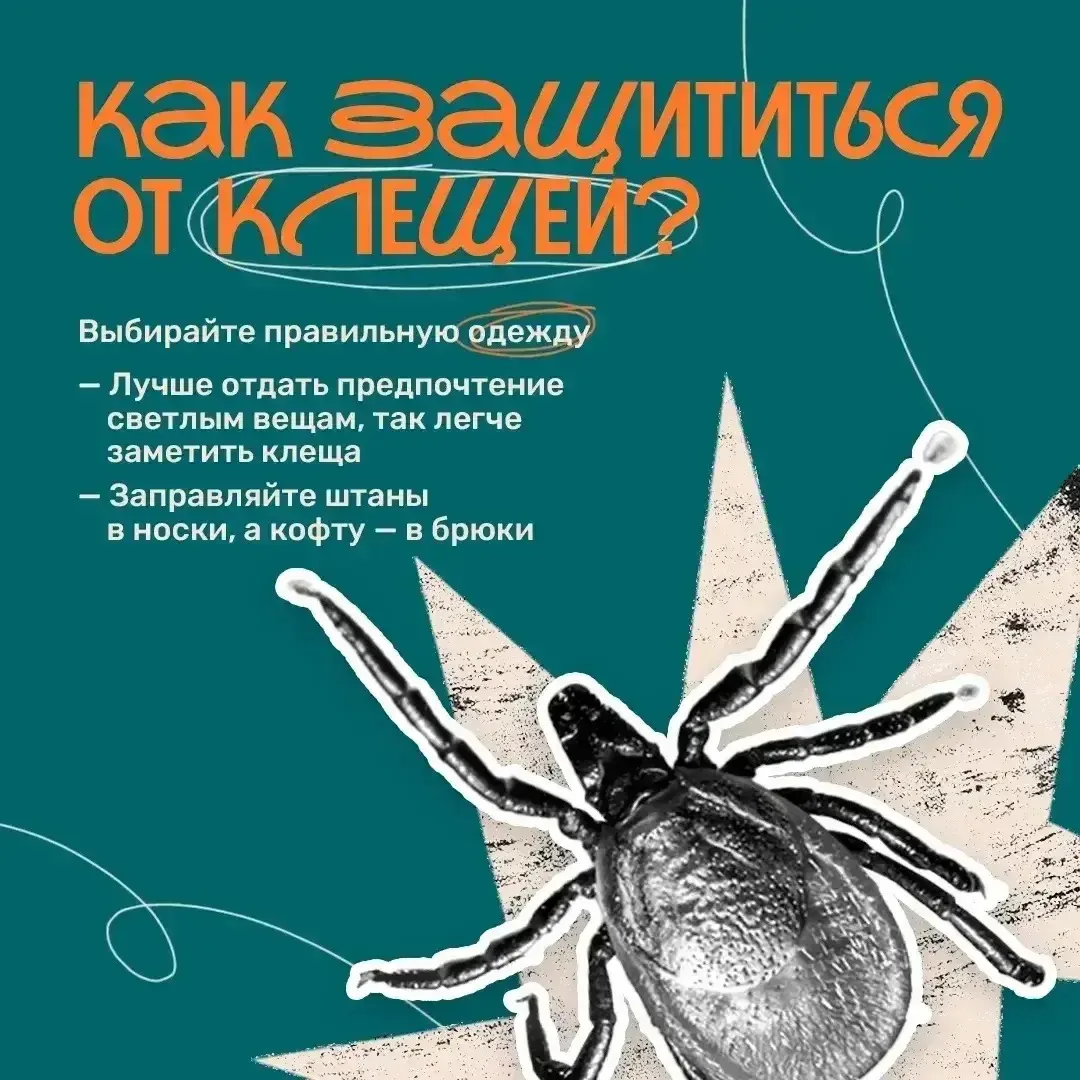 ❗️Осторожно. Начался сезон клещей❗️