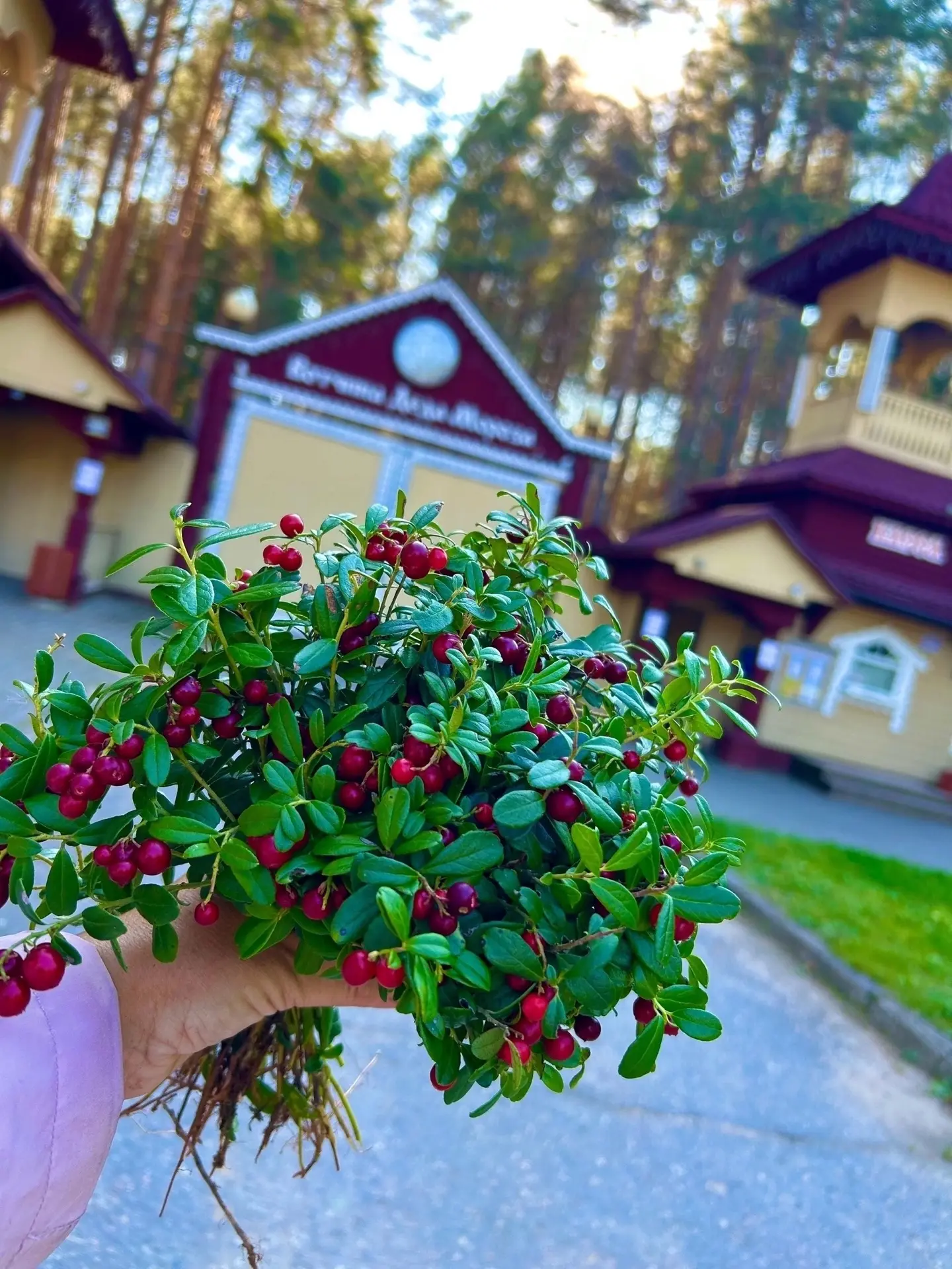 🍂Почему в гости к Деду Морозу в Великий Устюг многие любят приезжать именно осенью?