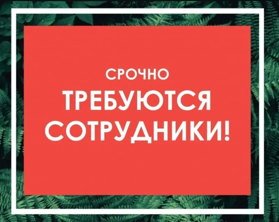 В МДАНОУ д/с № 11
