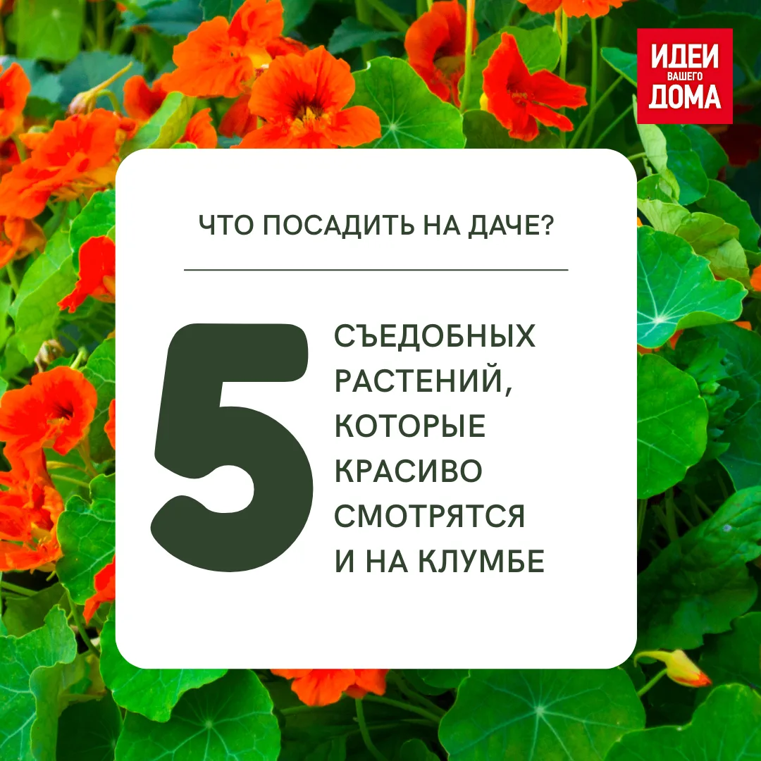 Изображение 1 к публикации «Идеи Вашего Дома»