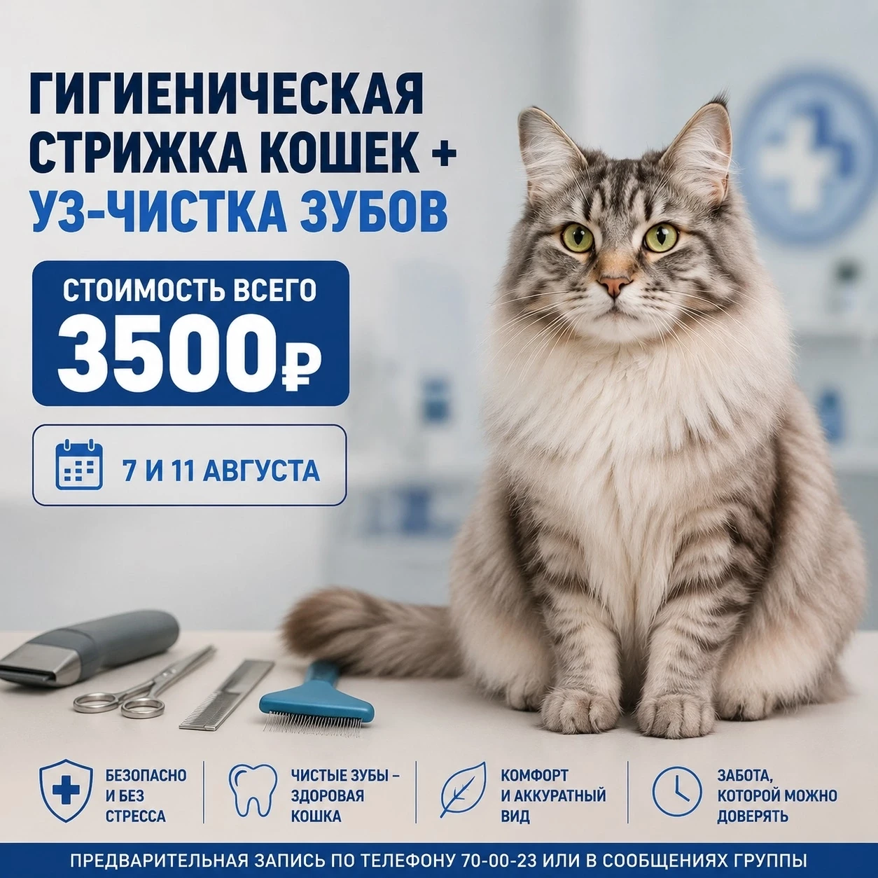 Идеальный уход для вашего питомца по выгодной цене! ✨ Только 7 и 11 августа в Октябрьск...