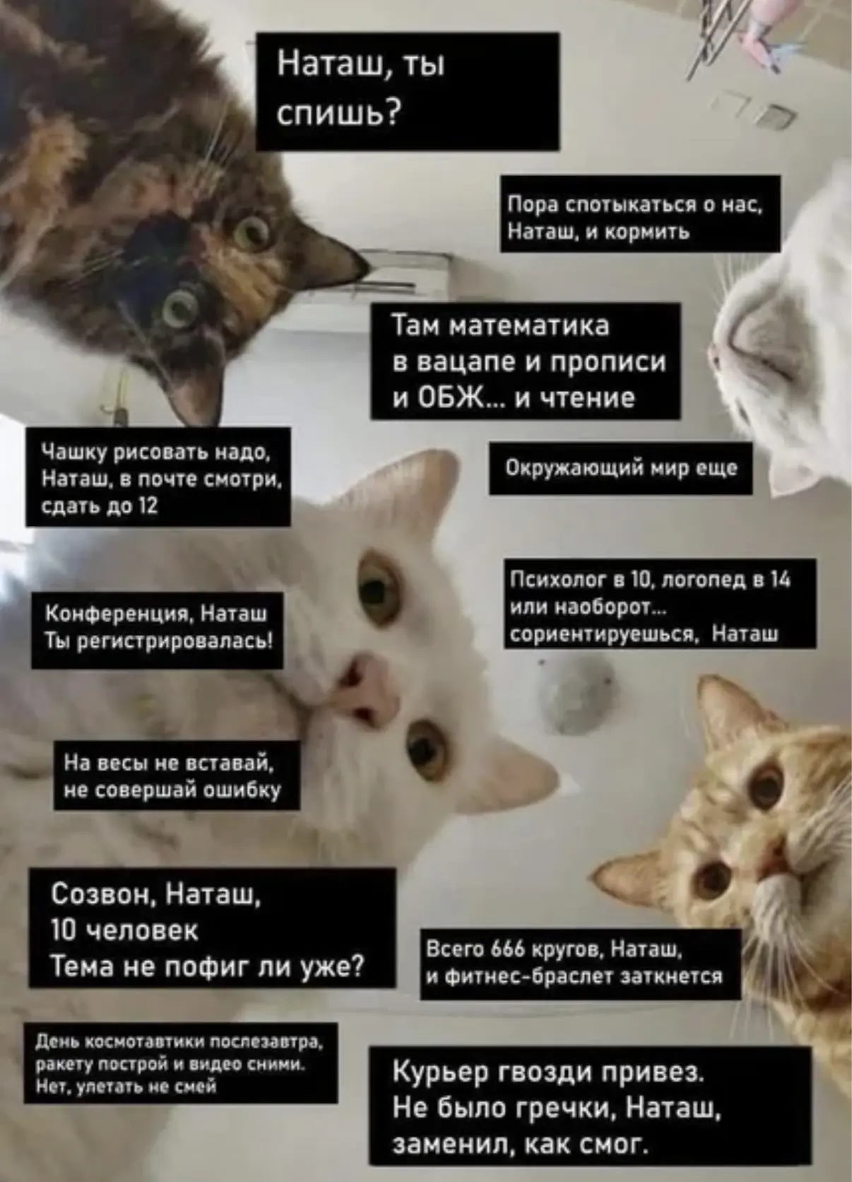 Сегодня Натальин день ❤️ А значит, у меня и у всех Наташ маленький праздник!