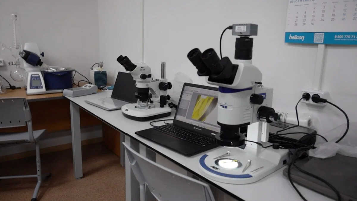 Загляните в будущее камчатской науки! 🔬