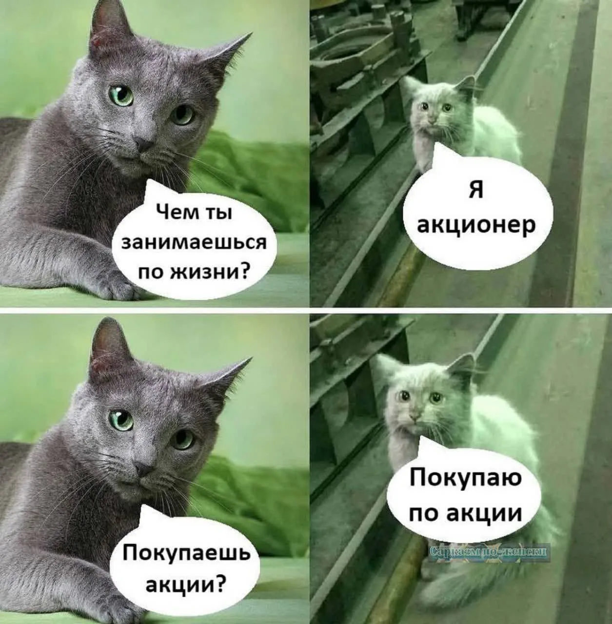 😘😘

Северный Мишка