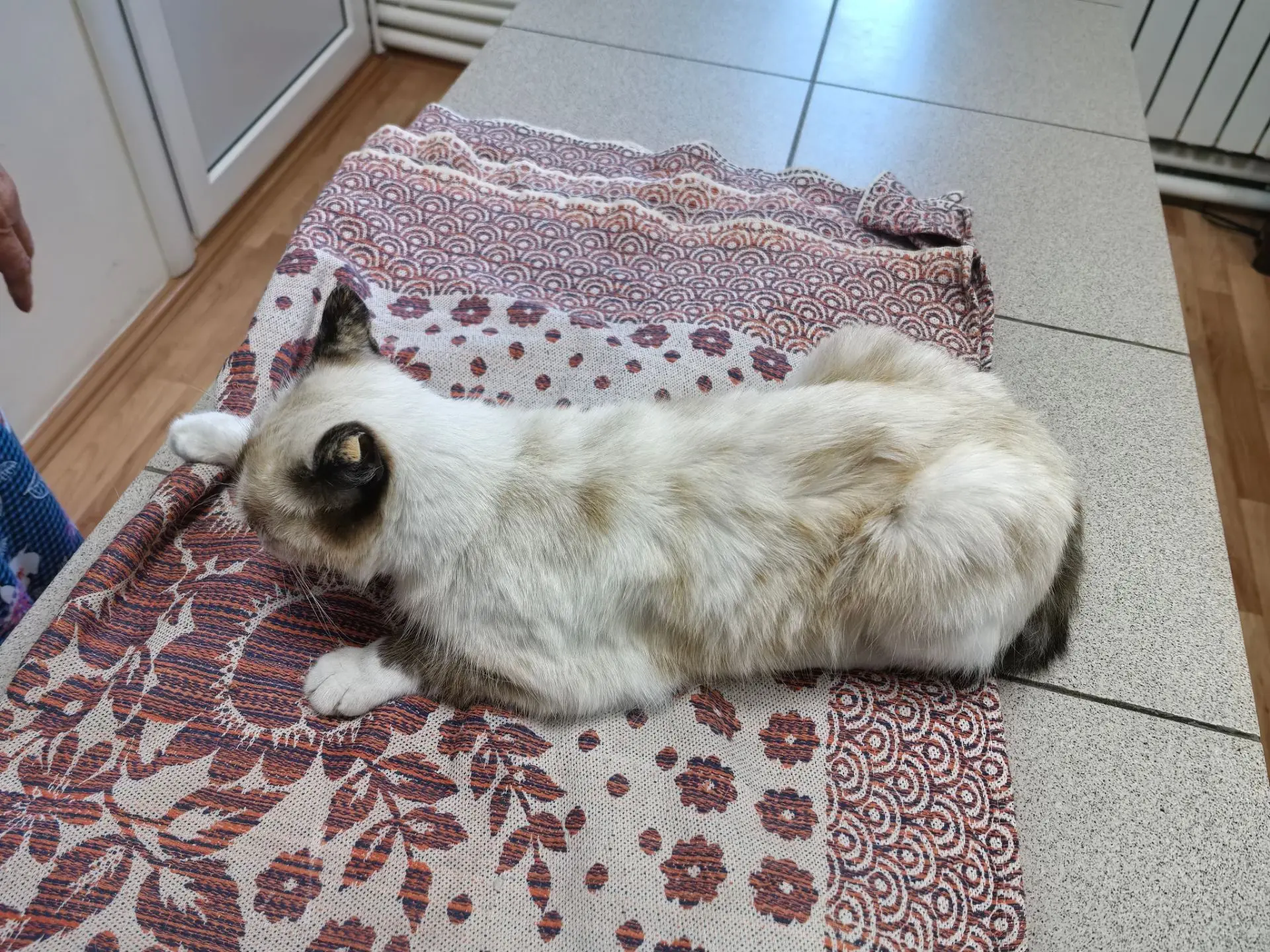 📸Наши пациенты