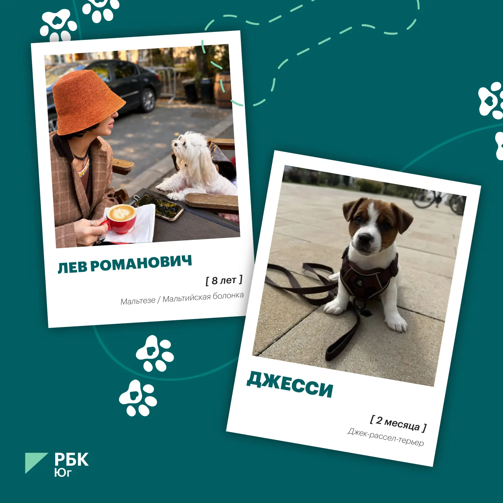 ⭐️ Пушистые, хвостатые и очень любимые. Сегодня отмечается Всемирный день животных