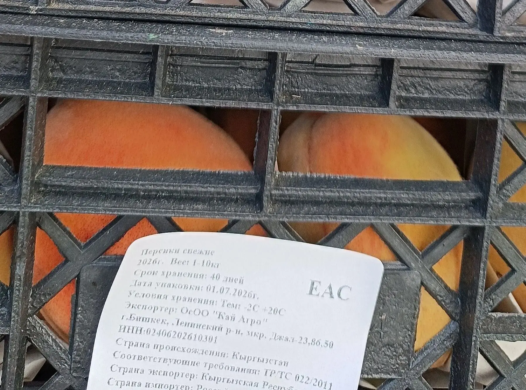 🍑 20 тонн персиков не пустили в Россию через границу с Челябинской областью