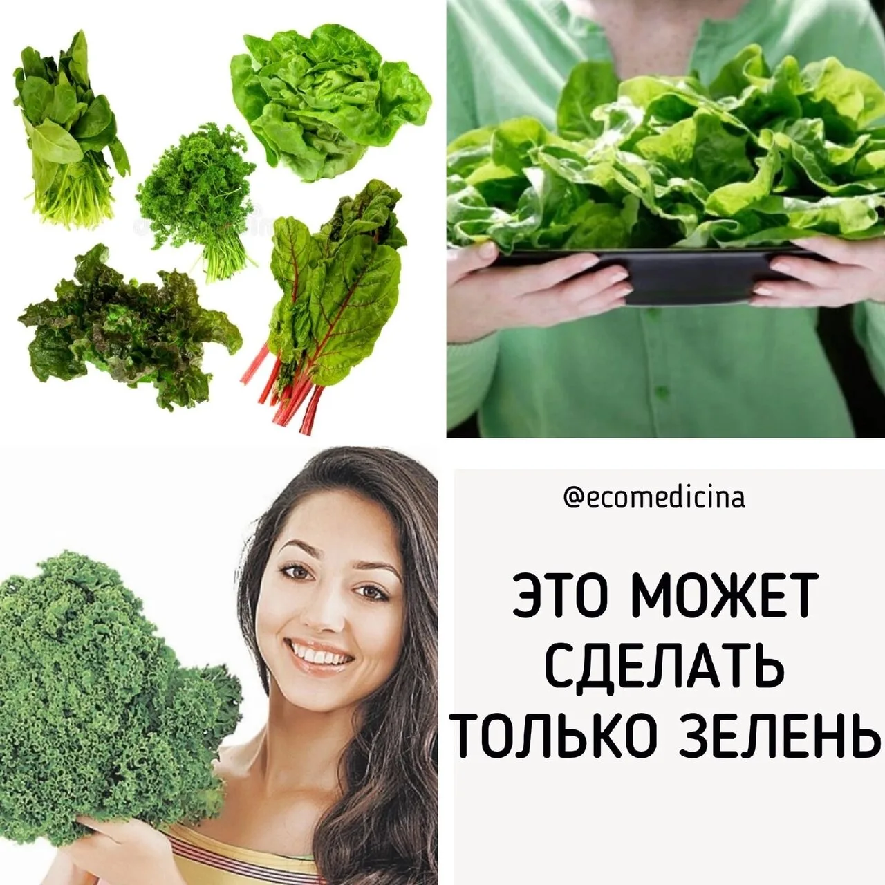 🥬ЗАТАИВАНИЕ ЦЕННОСТИ ЗЕЛЕНИ - ОДИН ИЗ СПОСОБОВ ДЕРЖАТЬ ЧЕЛОВЕЧЕСТВО В СОННОМ ЦАРСТВЕ.