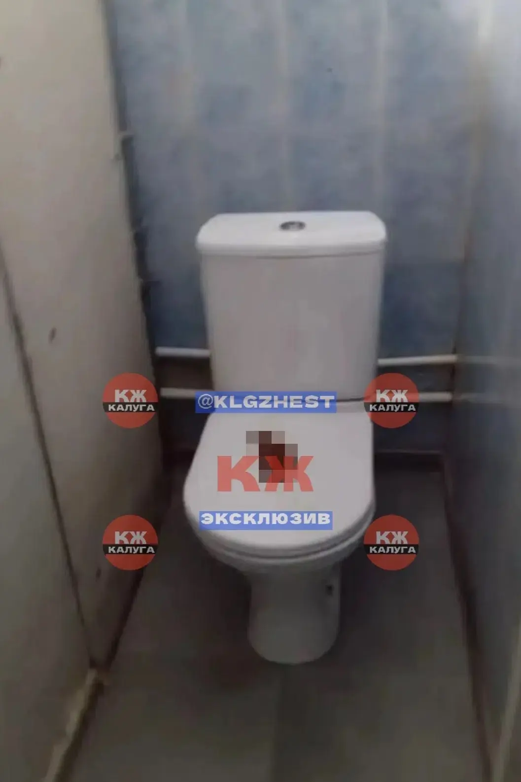 Туалет 49 школы, в пятницу насрали на крышку унитаза. Уважаемые родители, поговорите со...