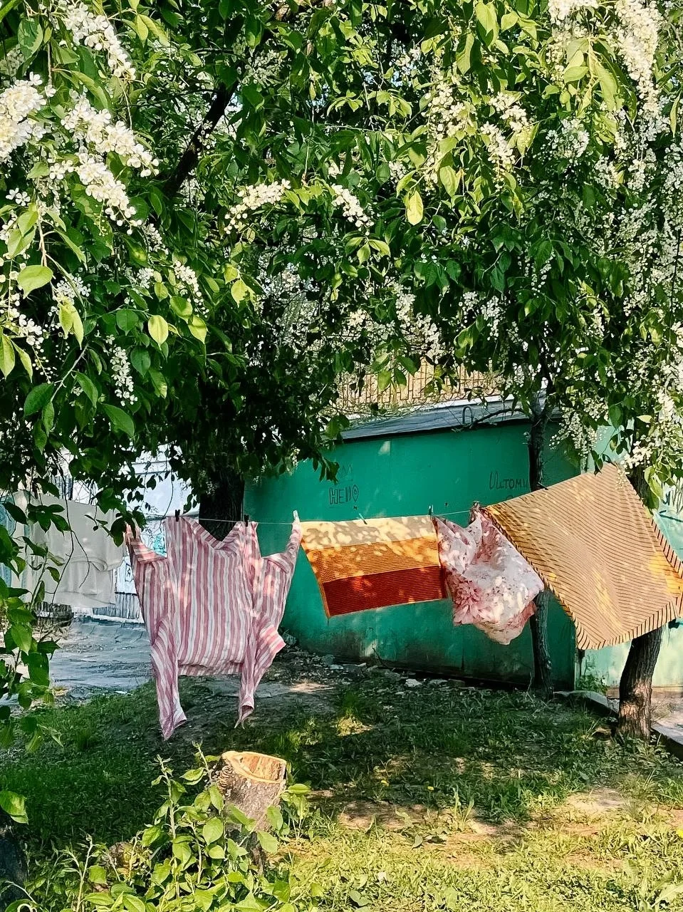 Южный в мае Автор: 📸 mukhavokne