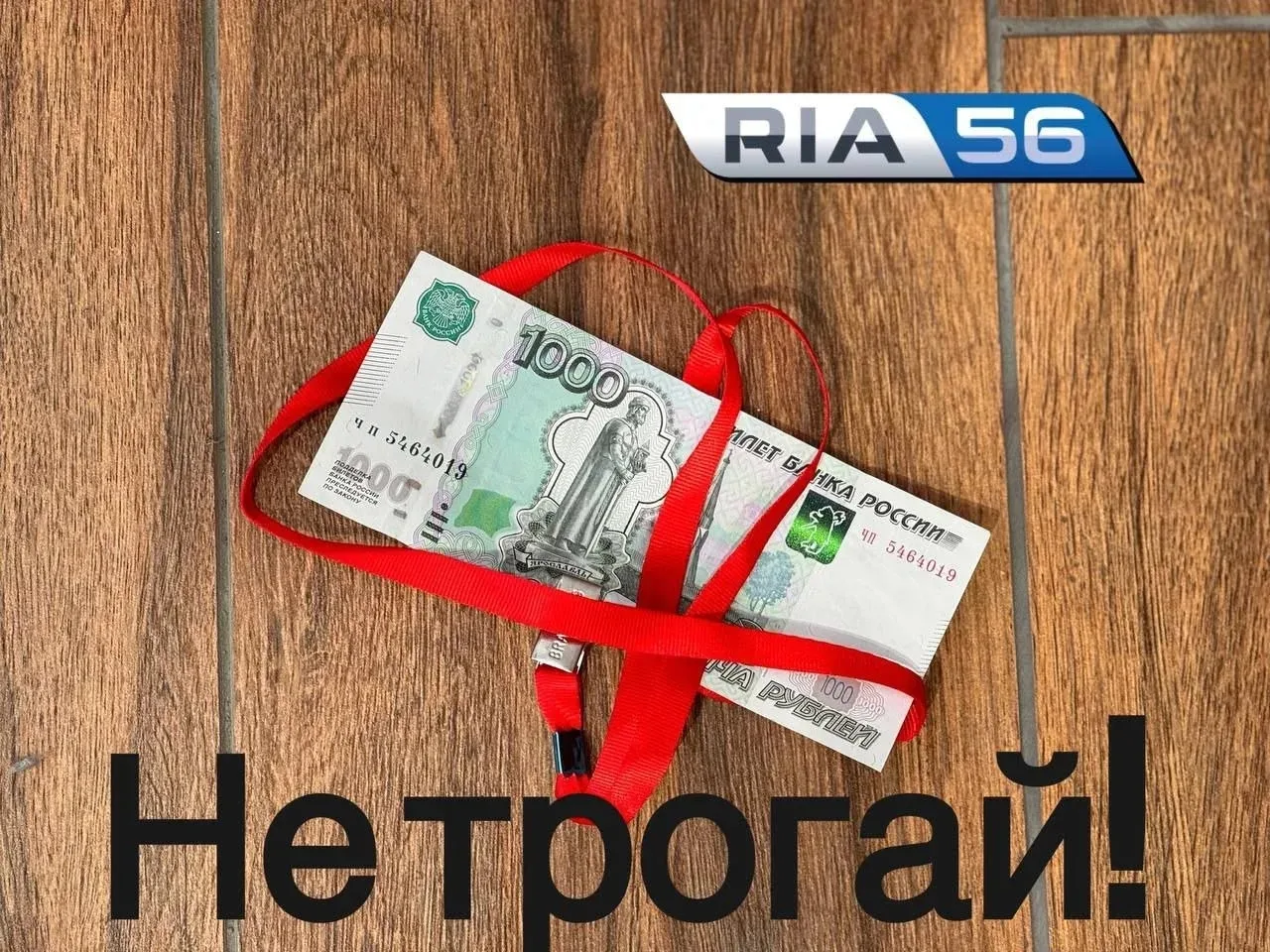 ❌ Не поднимайте это с земли: в Оренбуржье предупреждают об опасных «сюрпризах»