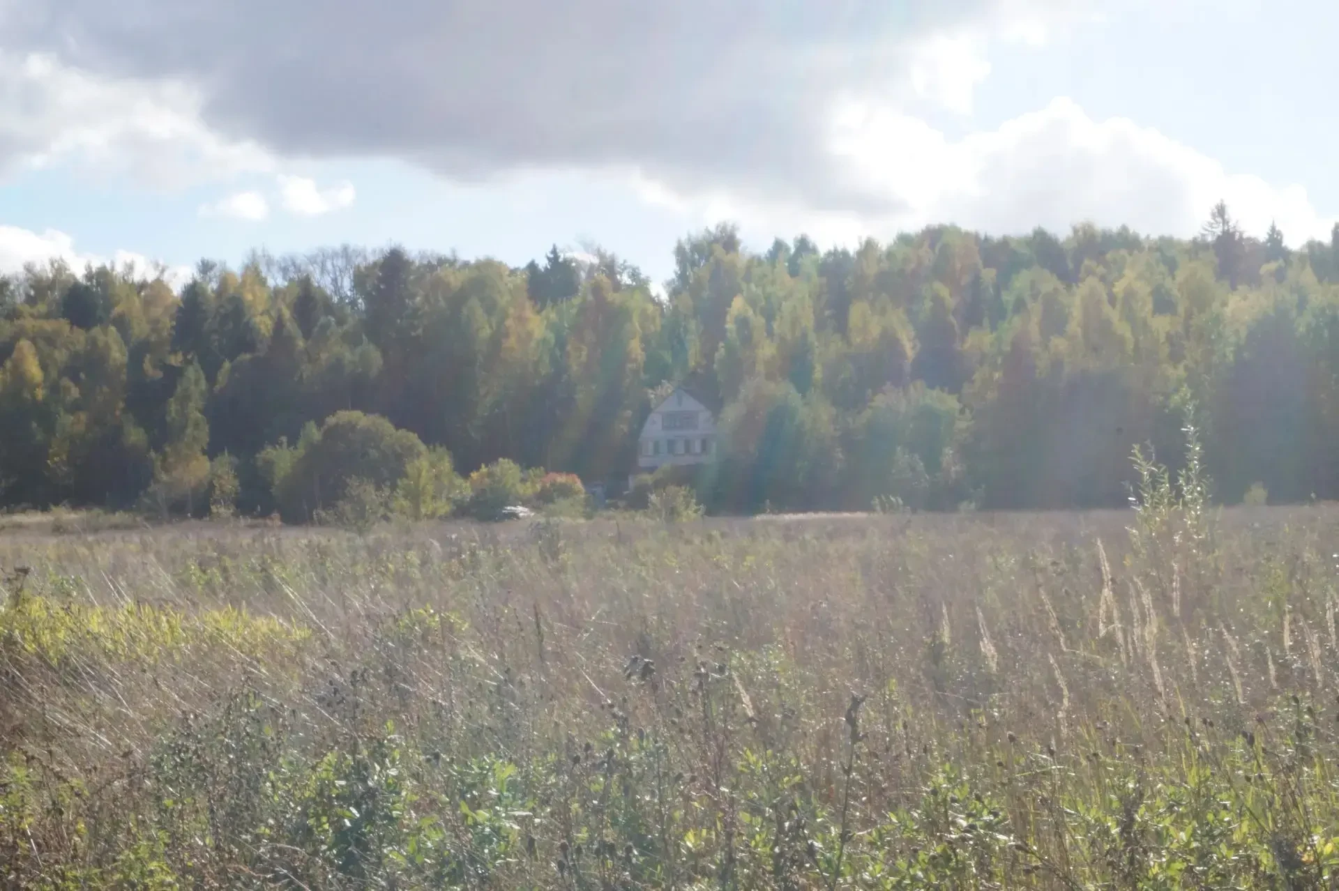 🍂 Осенняя Рязань во всей красе