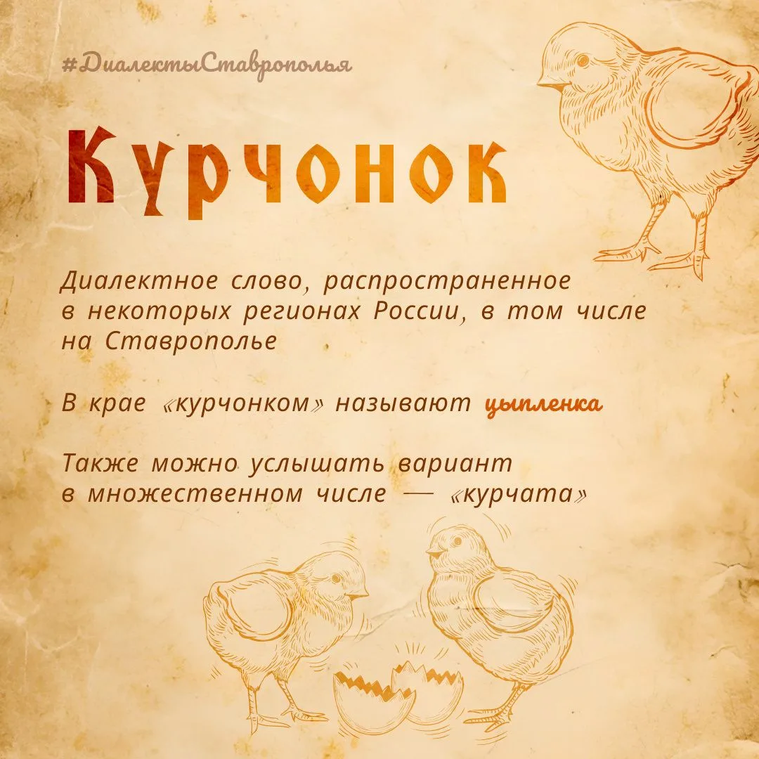 Знаете, что значит курчонок?