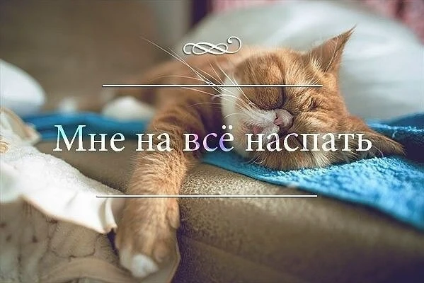Я сегодня целый день делала великое НИФИГА....... А под вечер ещё и устала!))))

Девочки, подписывай