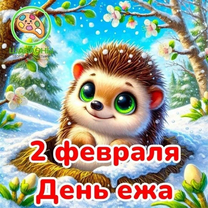 🦔 ДЕНЬ ЕЖА 🦔