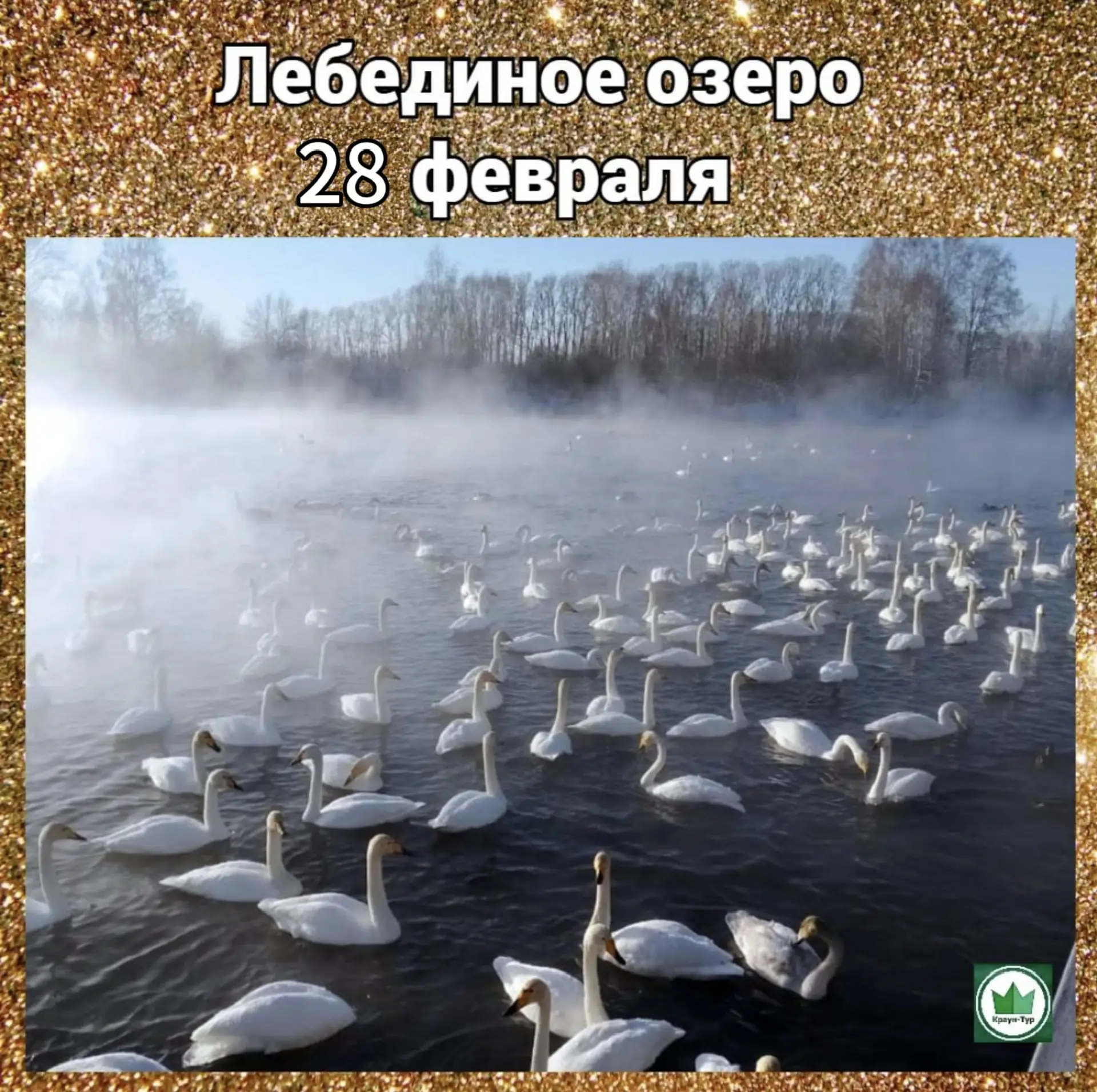 28 февраля (однодневный тур)  🦢 «Лебединое озеро» 🦢    Завершаем зиму красивым туром! 😍  Белоснежные