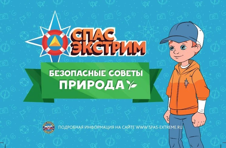 🌲 Лето на даче рядом с лесом — это про свежий воздух, прогулки и приключения. Но природа любит осто