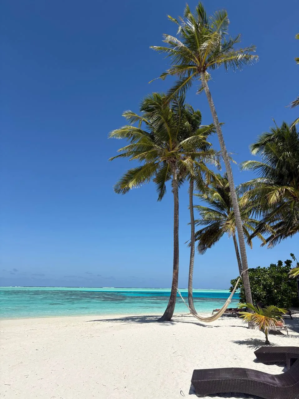 🇲🇻 Мальдивы — то самое место, которое хочется увидеть хотя бы раз в жизни