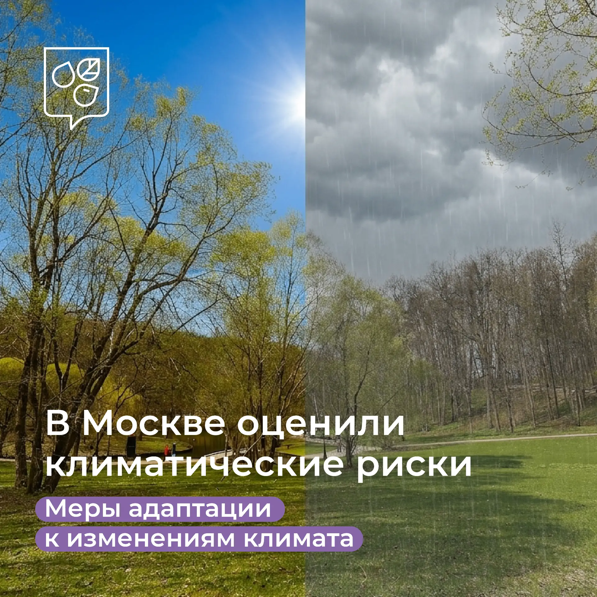 🌦️ Жара, дожди и ветер: эксперты изучили более 100 климатических рисков Москвы