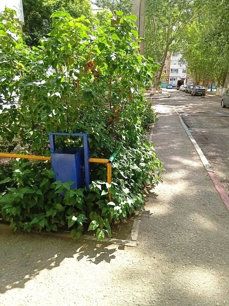 К новости «✂️ «Зеленый парикмахер» 🌳»