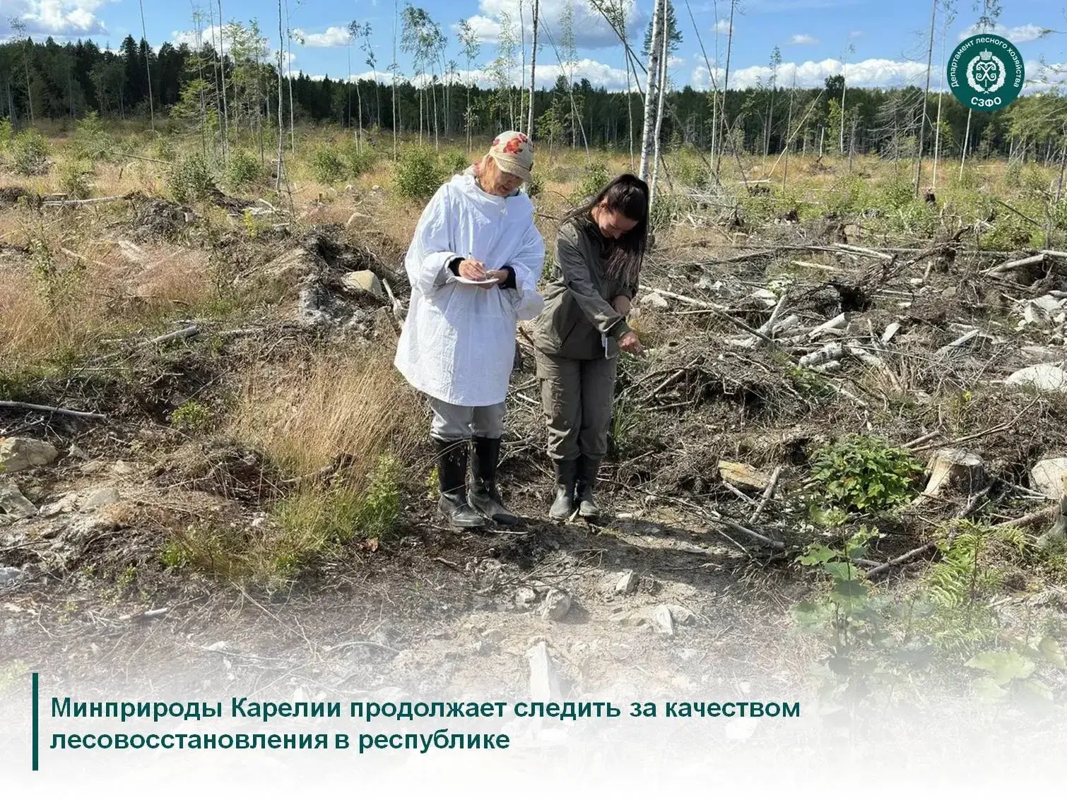 🌱Восстановление лесов – важная часть президентского национального проекта «Экологическ...