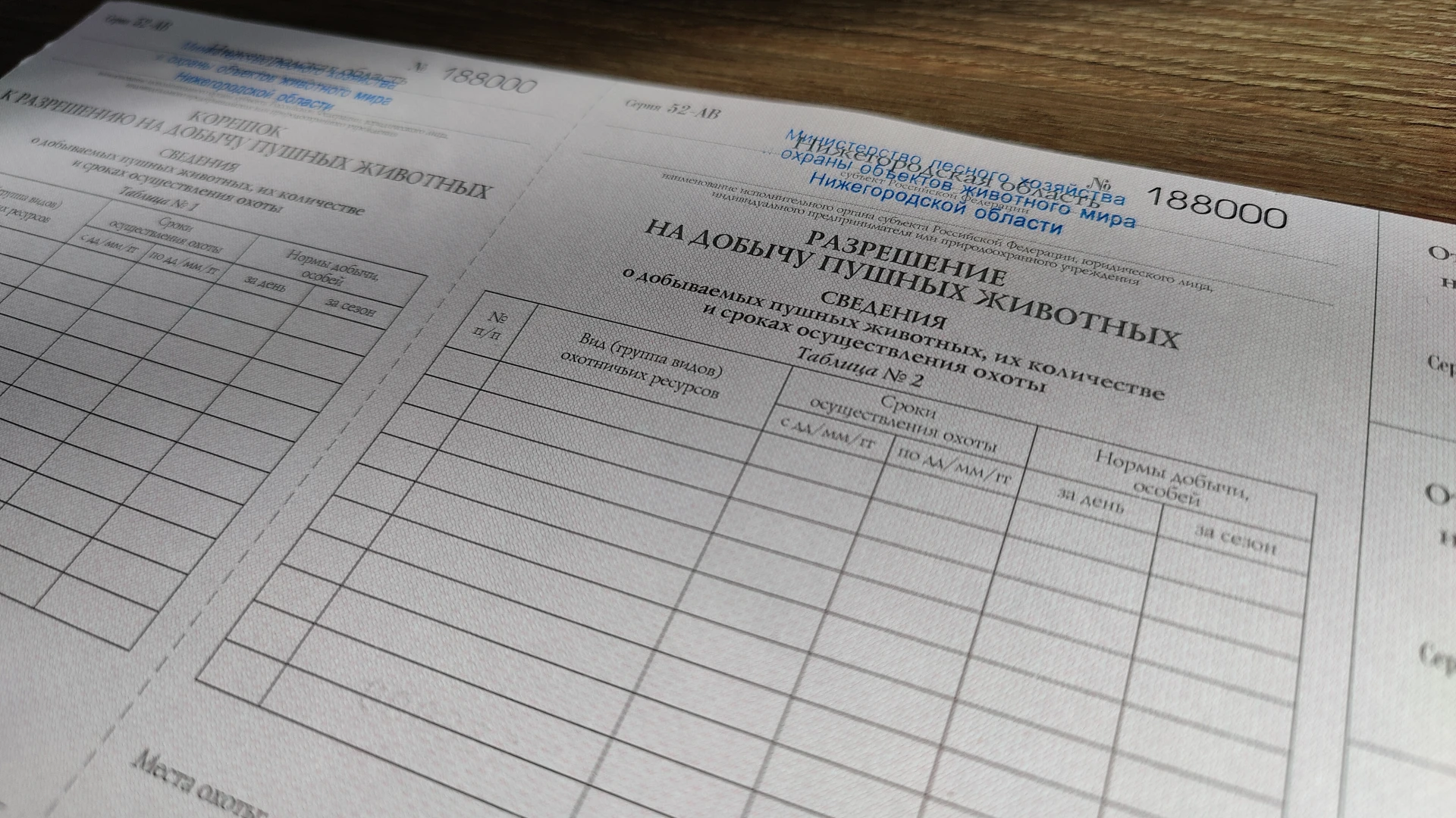🦫 Сезон охоты на бобра открывается 1 октября в Нижегородской области