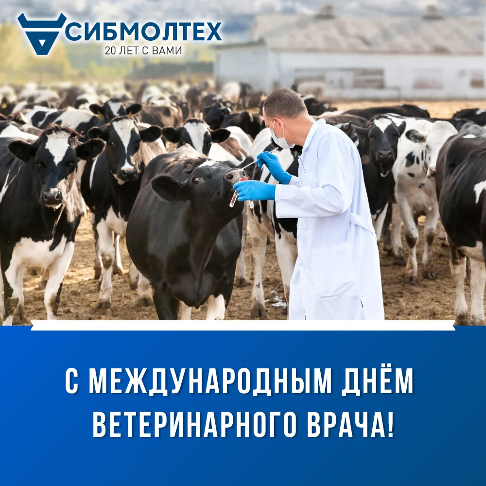 Дорогие ветеринарные врачи! 💥