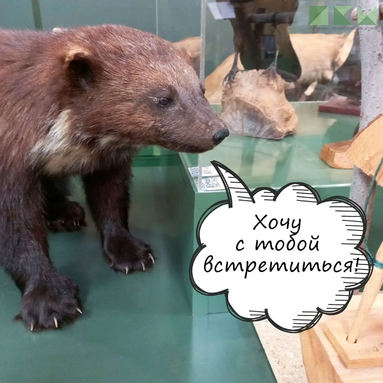 Росомашка Машка уже ждет вас в музее! И мы тоже🤗